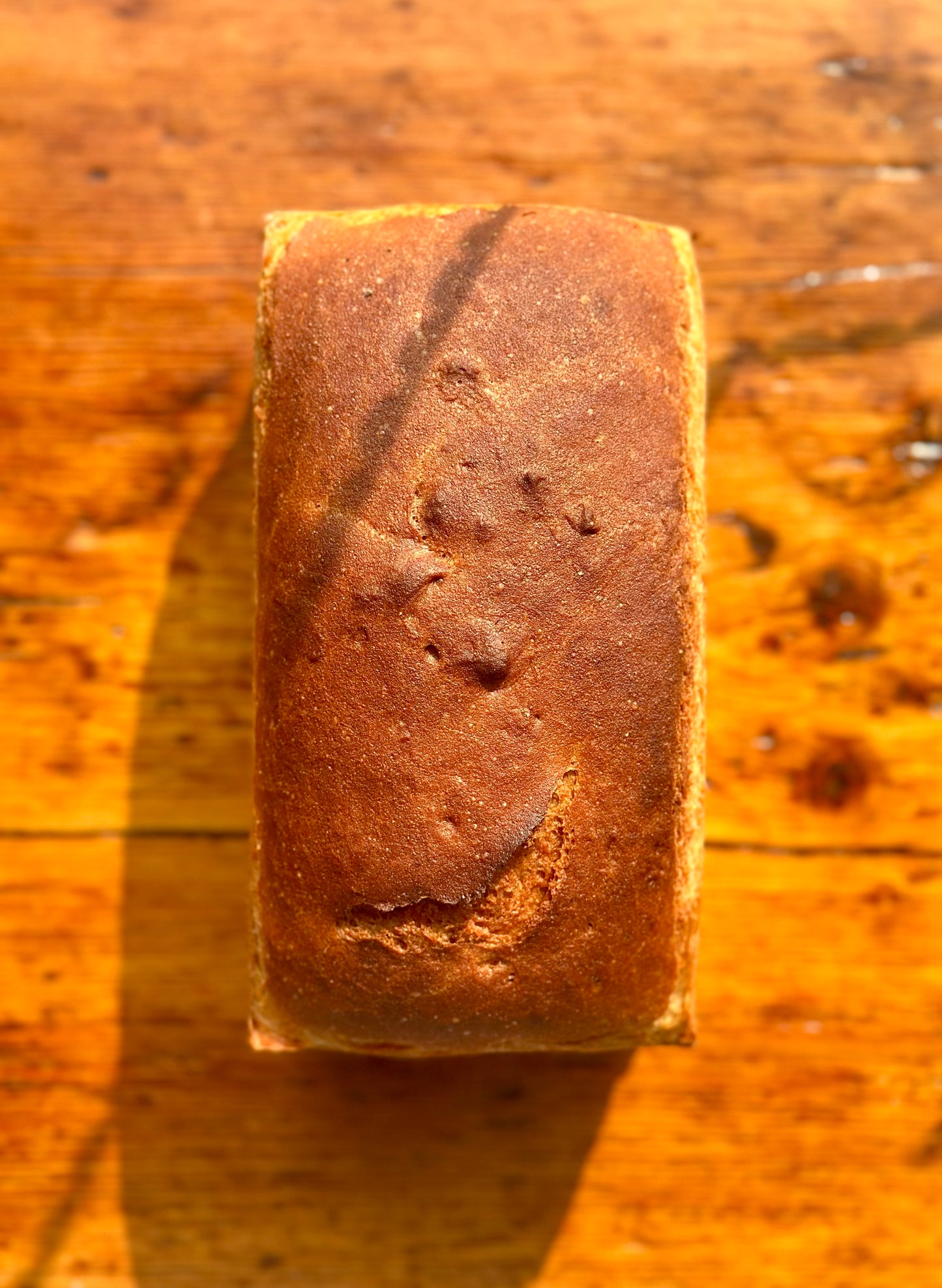 White Sandwich Bread