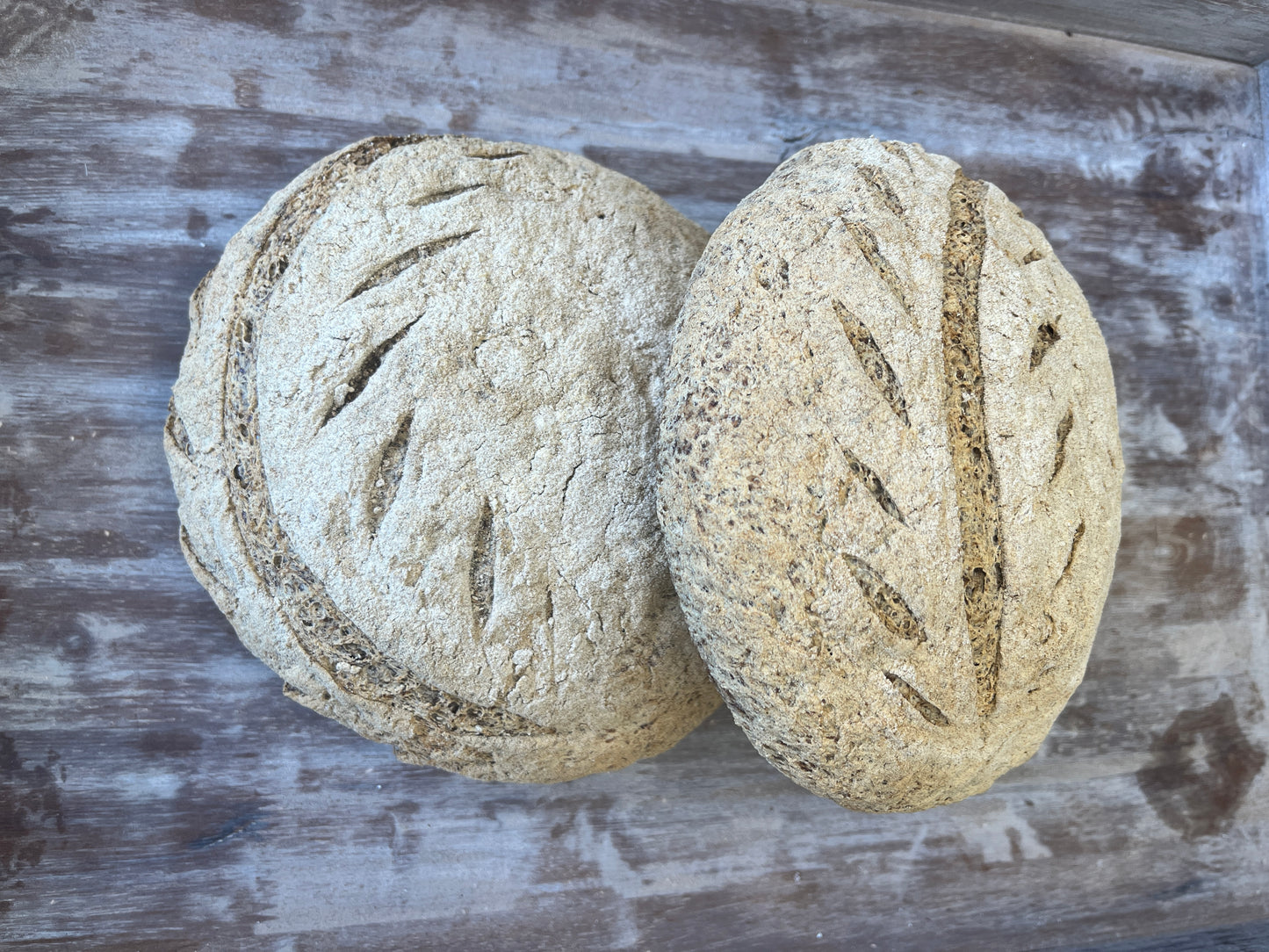 Lectin-Free Teff Sourdough - Min. Order 2 (requires 72hrs notice)