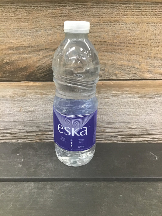 Water Bottle (600ml)
