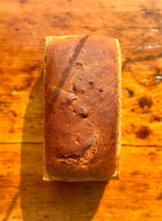 White Sandwich Bread