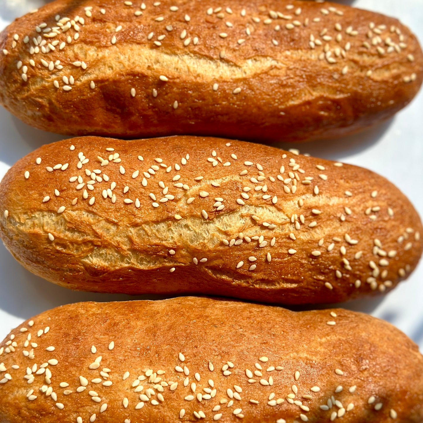 Brioche Hot Dog Bun