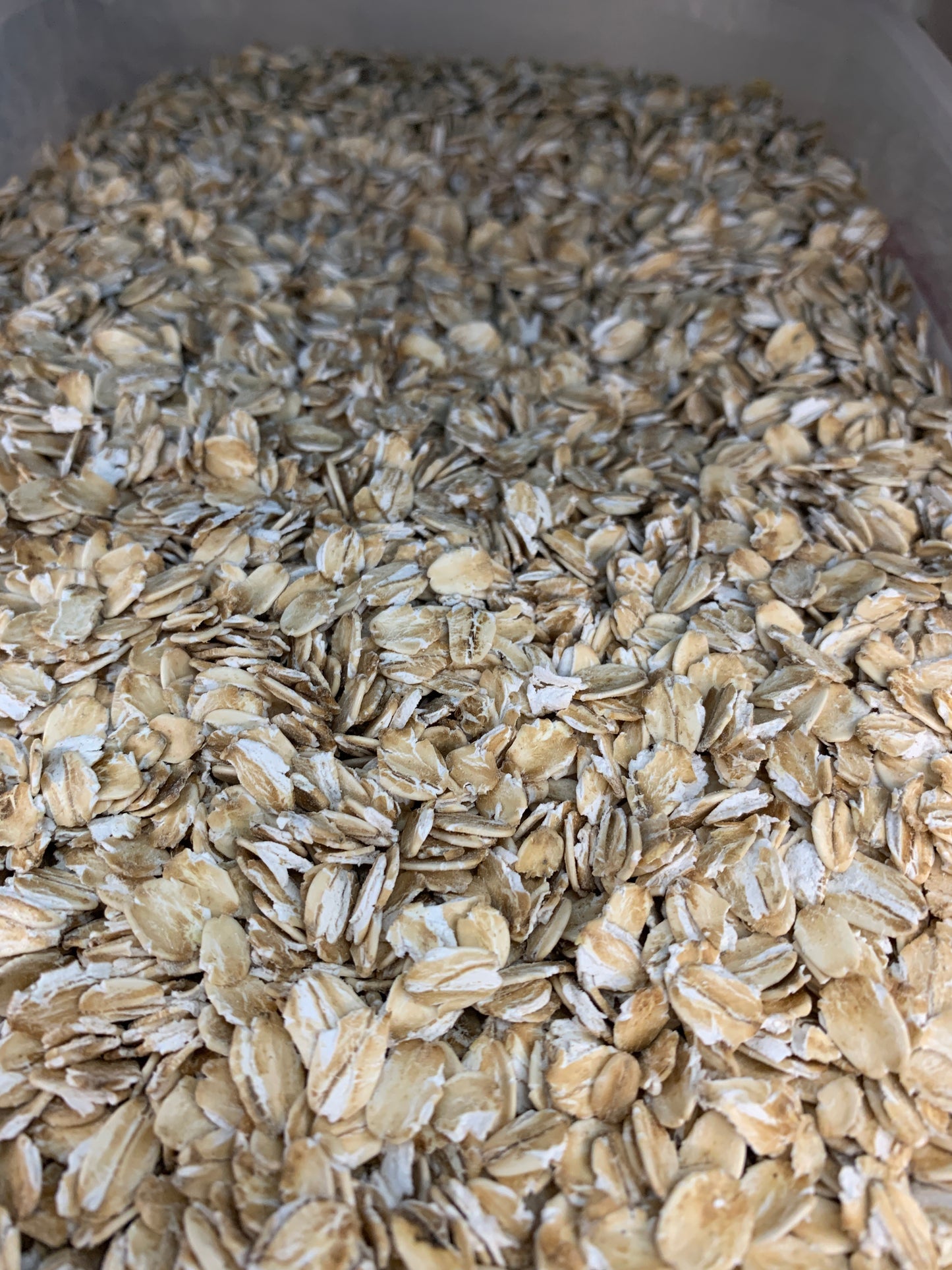 Rolled oats per 100g