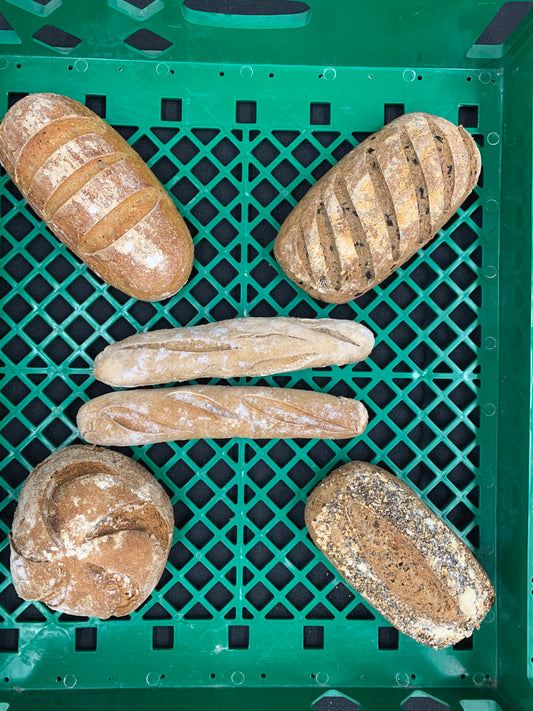 Basket #2 The Mini Sourdough Bread